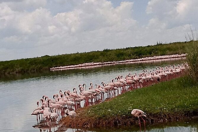 3-Days Budget Lodge Safari - Tarangire, Ngorongoro & Lake Manyara - Itinerary: Day 1