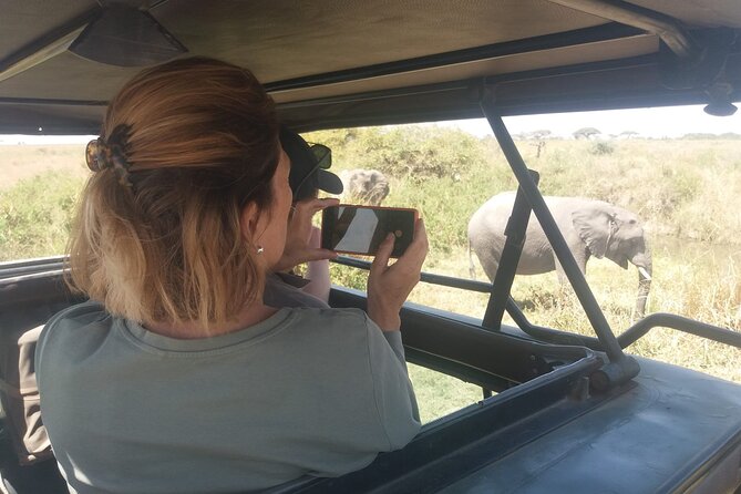 3-Days Budget Lodge Safari - Tarangire, Ngorongoro & Lake Manyara - Itinerary: Day 2