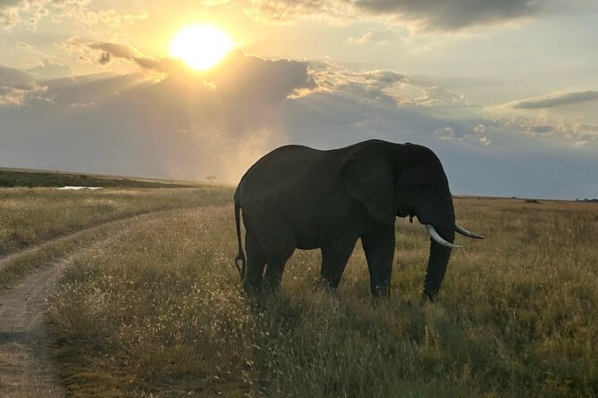 3-Days Budget Lodge Safari - Tarangire, Ngorongoro & Lake Manyara - Itinerary: Day 3
