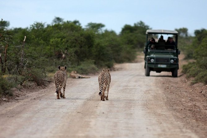 3 Days Budget Masai Mara Safari - Additional Considerations