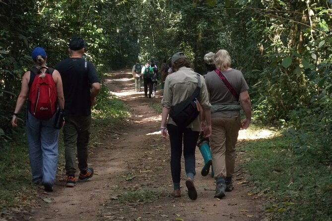 3 Days Bwindi Gorilla Trekking Tour - Inclusions and Exclusions
