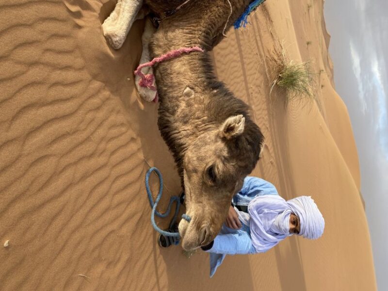 3 Days Camel Trekking in Morocco Desert Tour - Itinerary