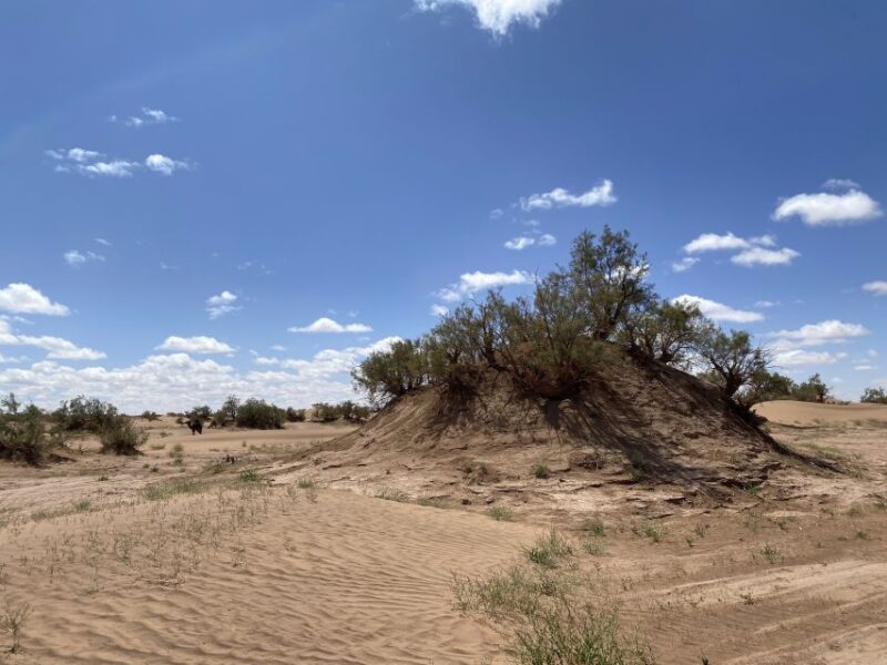 3 Days Camel Trekking in Morocco Desert Tour - Day 1: Nomad Trek