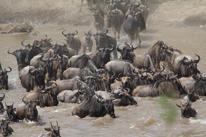 3 Days Camping Safari Tarangire, Lake Manyara and Ngorongoro Crater - Additional Information