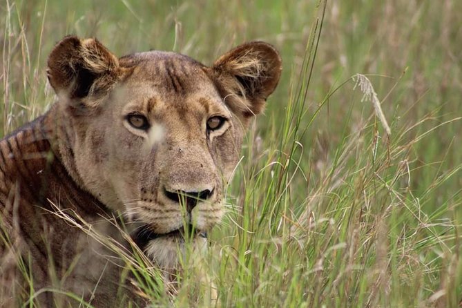 3 Days Camping Safari Tour Tanzania - Pickup and Meeting Details