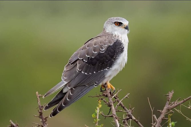 3 Days Camping Safari Tour Tanzania - Accommodation