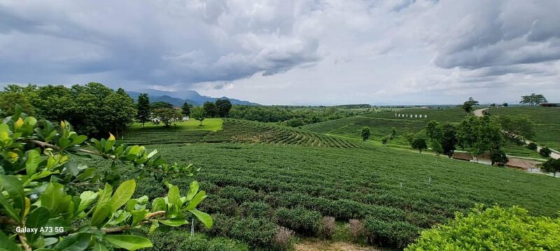 3 Days Chiang Mai and Chiang Rai Explore. - Exclusions