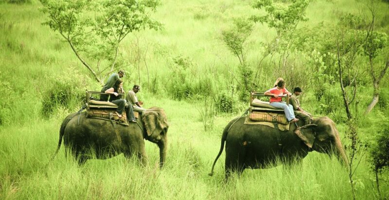 3 Days Chitwan Safari Tour - Booking Information