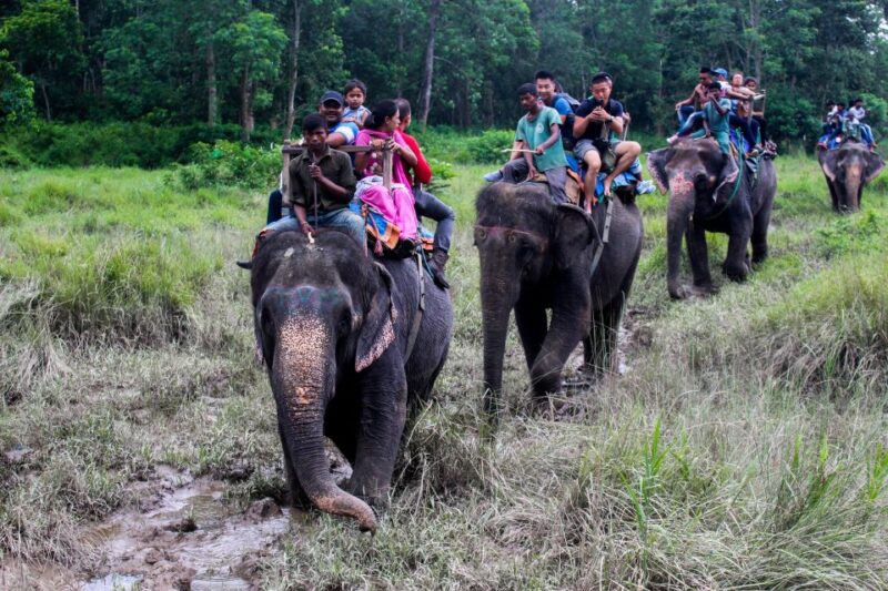 3 Days Chitwan Safari Tour - Frequently Asked Questions
