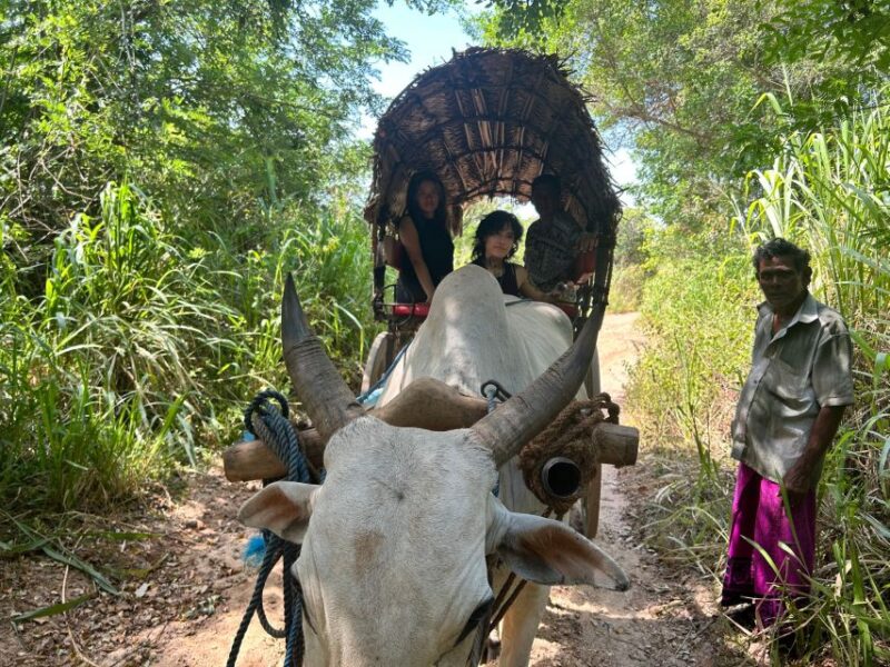 3 Days Cultural Triangle Tour - Key Points