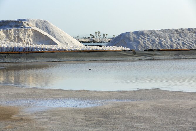 3 Days Danakil Depression Tour - Tour Availability
