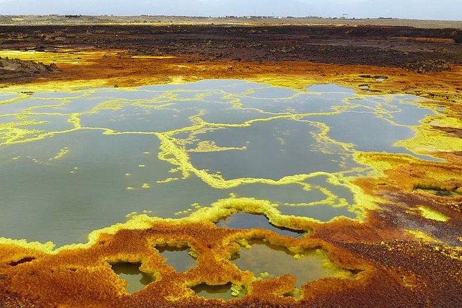 3 Days Danakil Depression Tour - Operator Information