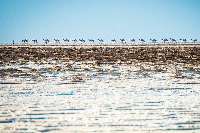 3 Days Danakil Depression Tour - Itinerary Day 2