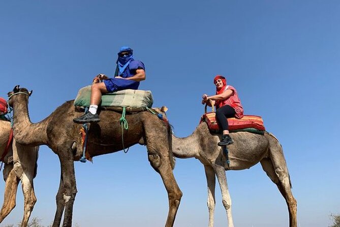 3 Days Desert Tour & Camel Trek From Marrakech to Merzouga - Experiencing the Dunes at Sunset