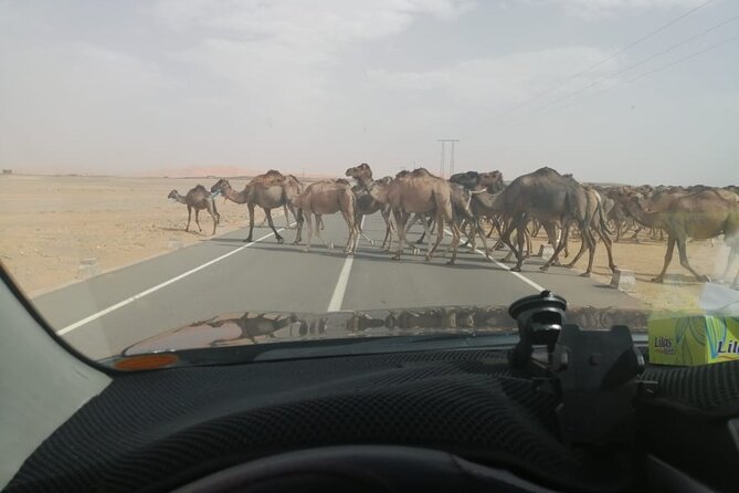 3 Days Desert Tour Fes to Marrakech With 2 Nights in Merzouga - Vegetarian Options