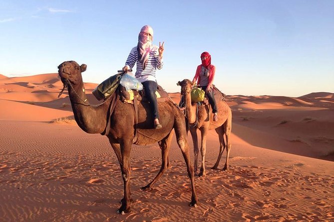 3 Days Desert Tour From Fes to Marrakech via Merzouga - Pickup and Accessibility