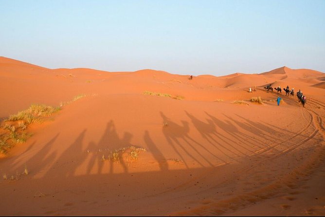 3 Days Desert Tour From Fes to Marrakech via Merzouga - Group Size and Cancellation