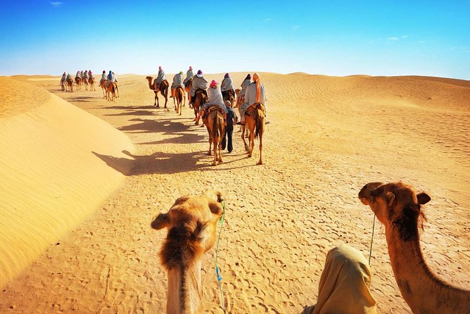 3 Days Desert Tour From Fez to Marrakech via Merzouga - Camel Trekking Experience