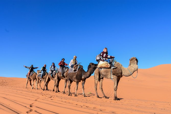 3 Days Desert Tour From Fez to Marrakesh via Merzouga Erg Chebbi - Camel Trekking Through Erg Chebbi