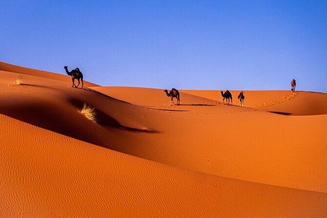 3-Days Desert Tour From Marrakech - Camel Ride and Scenery