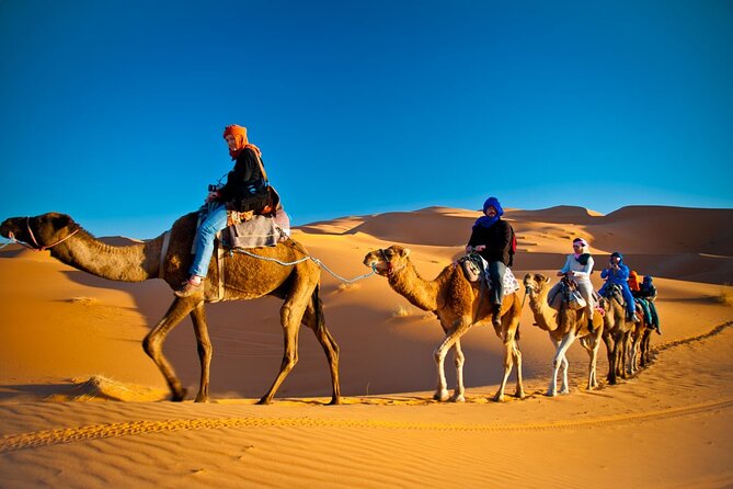 3 Days Desert Tour Marrakech Merzouga Fes - Customer Feedback