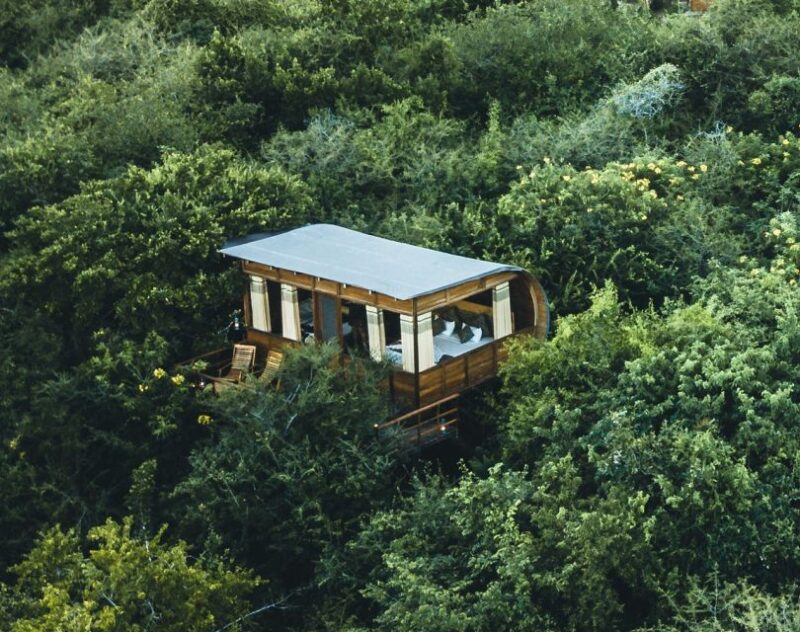 3 Days - Different Discovery Private Wildlife Tour - Accommodation and Meals