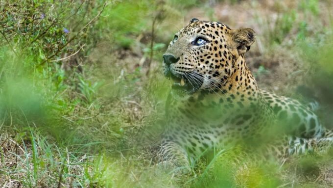 3 Days - Different Discovery Private Wildlife Tour - Recap