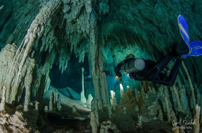 3 Days Discover Dive Package - Diving Experience