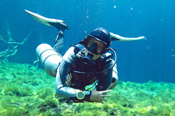 3 Days Diving in Cenotes for Certified Divers - Customer Experiences