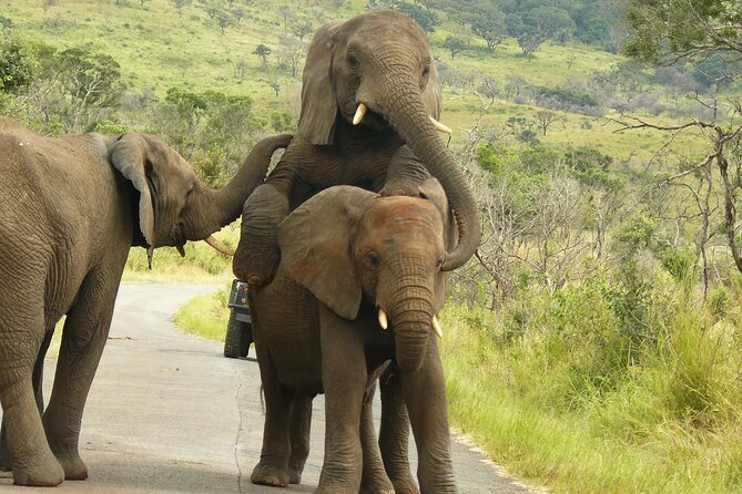 3 Days Durban Safari Tour Package - Accommodation Details