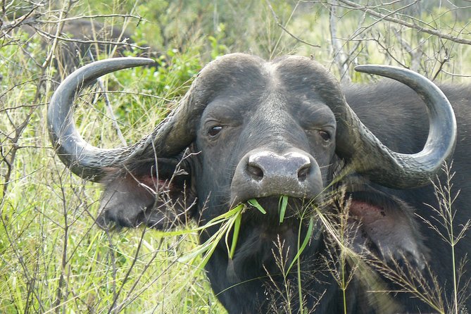 3 Days Durban Safari Tour Package - Transportation Arrangements
