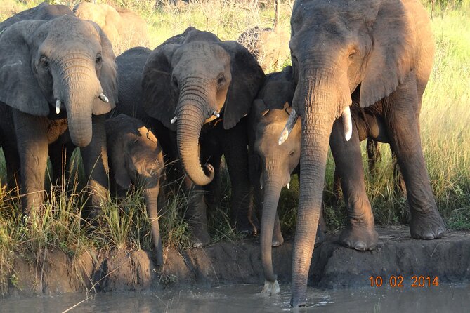 3 Days Durban Safari Tour Package - Group Size and Requirements
