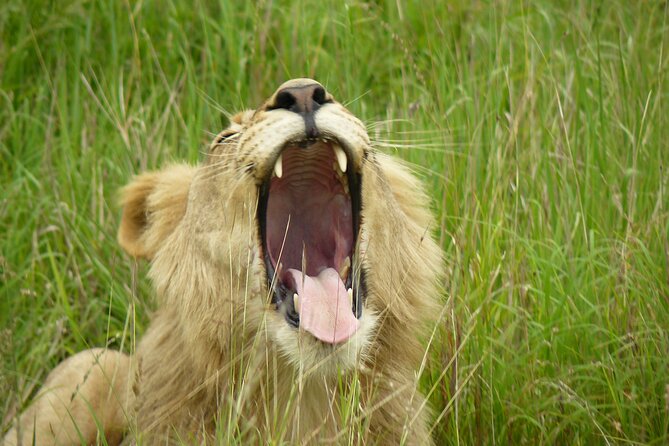 3 Days Durban Safari Tour Package - Cancellation and Luggage Policies