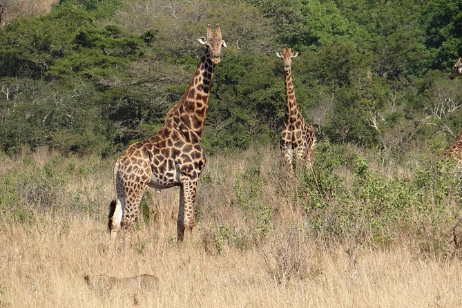 3 Days Durban Safari Tour Package - Additional Information