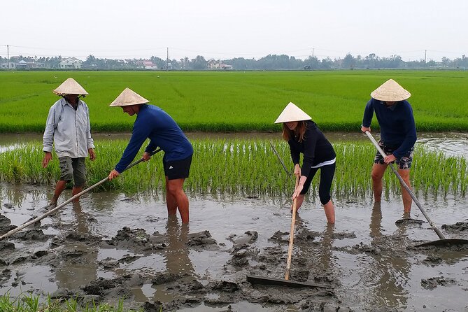 3 Days Explore Culture in an Active Way in Hoi an - The Hiking Experience
