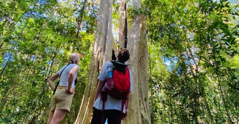 3 Days Exploring Cat Tien National Park From Dalat - Key Points