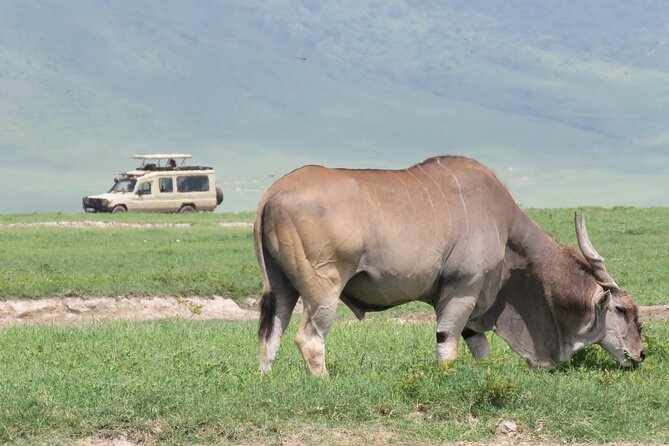 3 Days Exploring Serengeti & Ngorongoro Crater From Arusha - Key Points