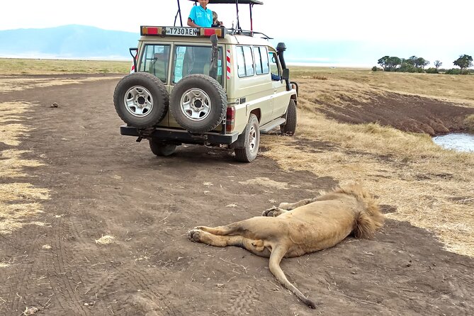 3 Days Exploring Serengeti & Ngorongoro Crater From Arusha - Accommodation and Meals