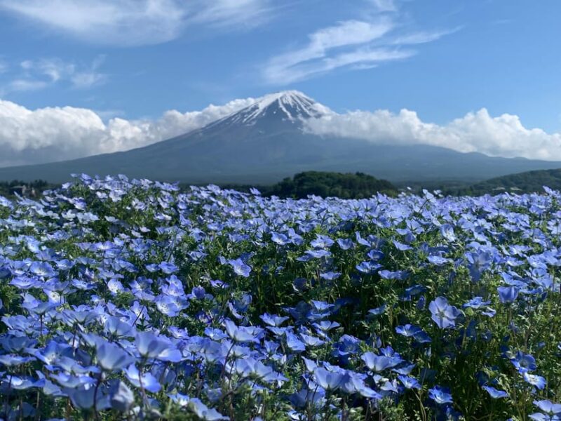 3 Days Fantastic Attractions Tour Tokyo+Nikko+Mt.Fuji Ect - Day 2 Itinerary