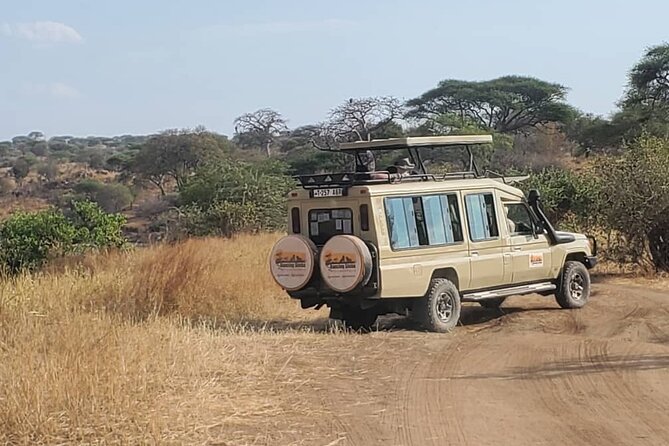 3 Days Fly in & Out Serengeti Park - Pickup and Start Time