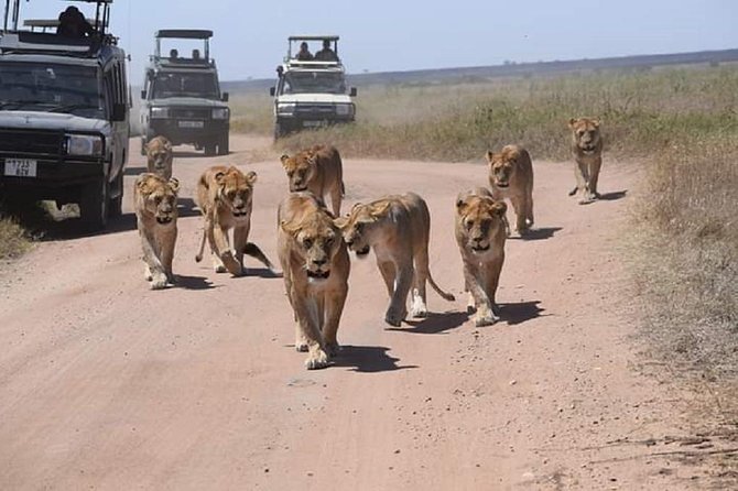 3 Days Fly in Safari - Pricing and Group Size