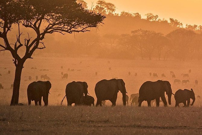 3 Days Fly in Safari - Cancellation Policy