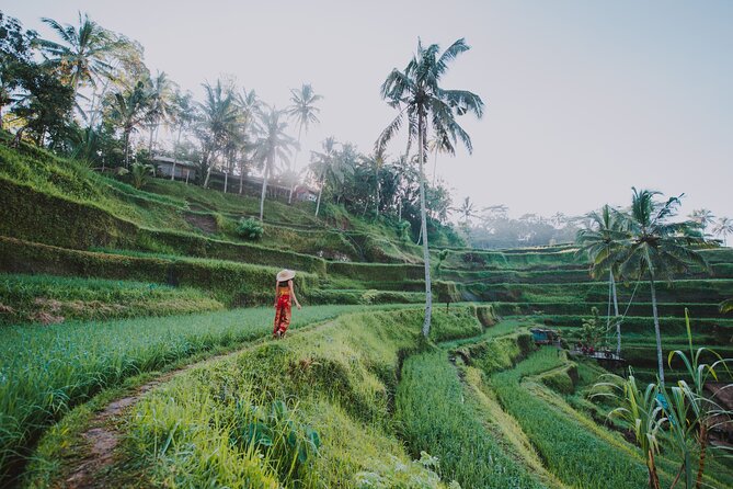 3 Days for the Best of Ubud Private Tour - Inclusions