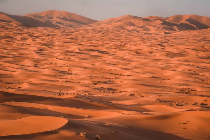 3 Days From Fes to Marrakech Via Sahara Desert and Ait Ben Haddou - Desert Adventure and Camel Ride