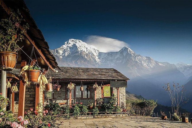 3 Days Ghorepani Poonhill Trek From Pokhara - Trekking to Tadapani