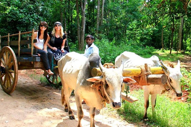 3 Days Glimpse Of Sri Lanka - Village Safari