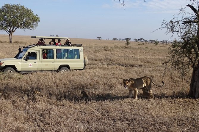 3 Days Group Joining Safari to Maasai Mara With a Land Cruiser Jeep - Pickup and Group Size