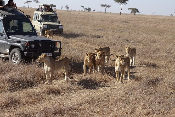 3 Days Group Joining Safari to Maasai Mara With a Land Cruiser Jeep - Trip Logistics and Accessibility