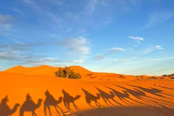 3 Days Group Tour From Marrakech to Merzouga Desert - Confirmation and Accessibility