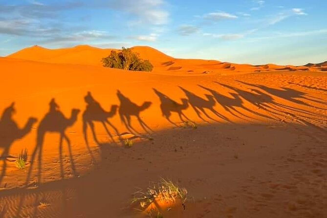 3 Days Group Tour From Marrakech to Merzouga Desert - Camel Trekking and Sandboarding